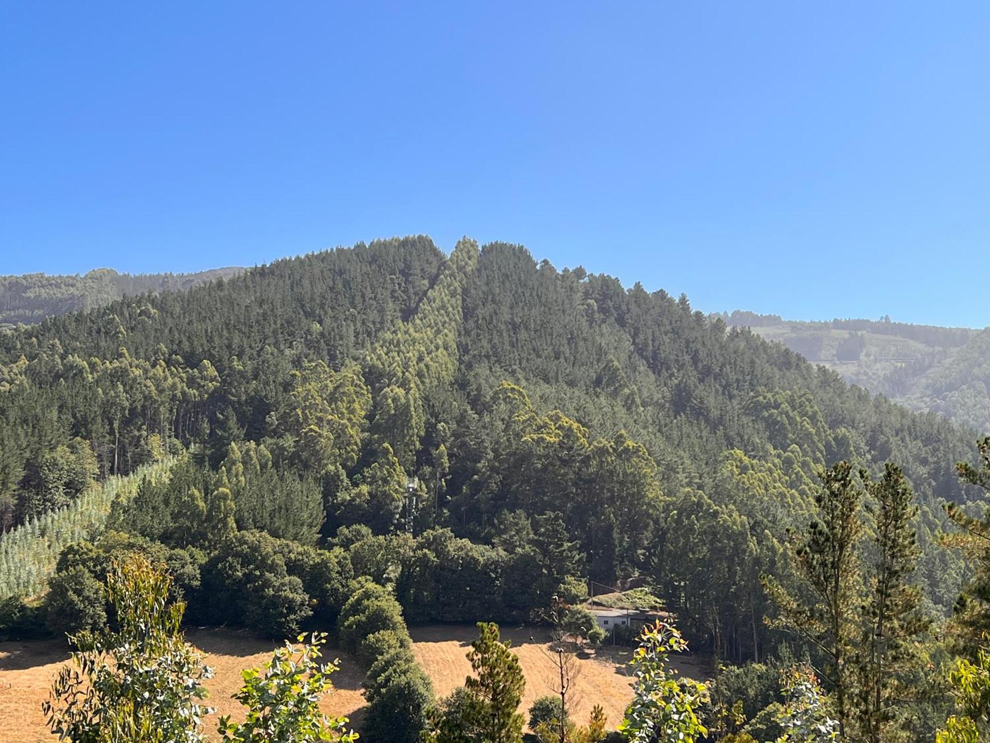 Ribeira De Piquin Hotel Mirador De Barcia מראה חיצוני תמונה