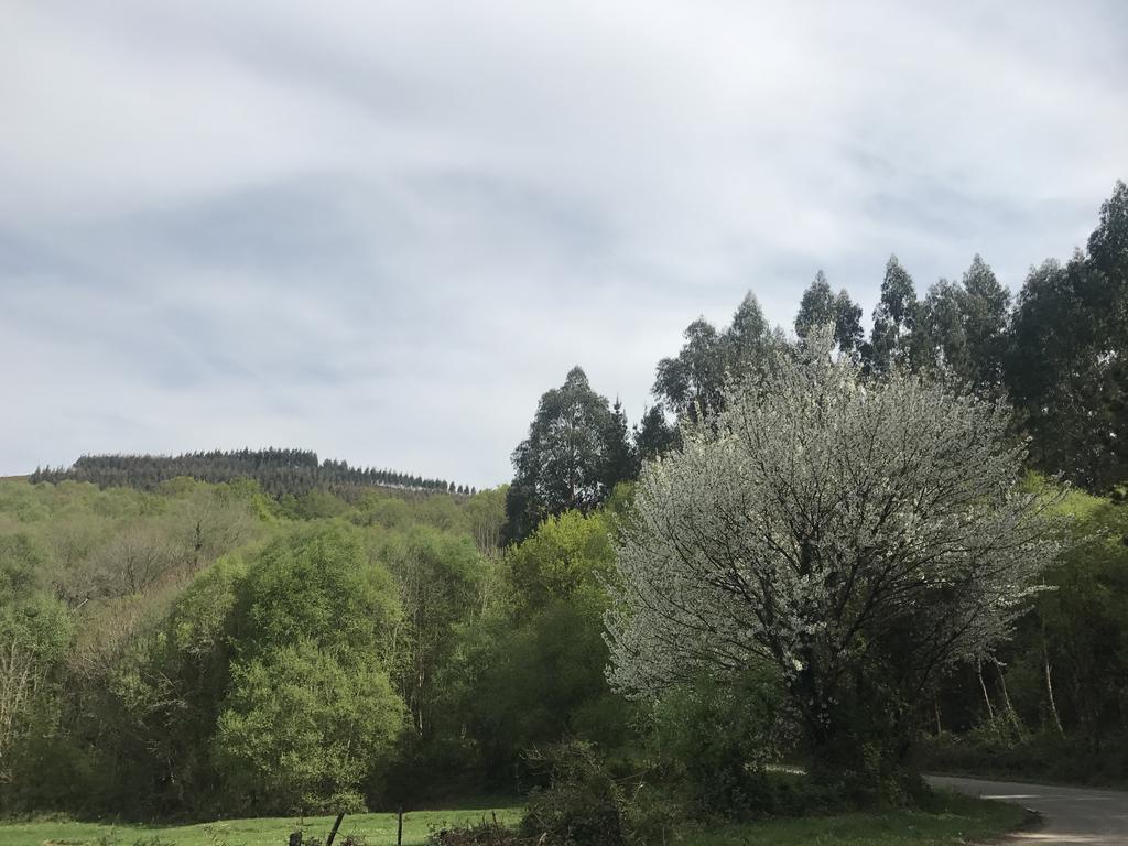 Ribeira De Piquin Hotel Mirador De Barcia מראה חיצוני תמונה